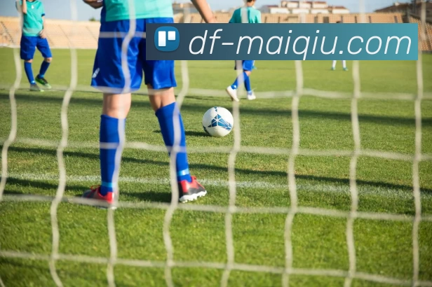 多媒体互动体验